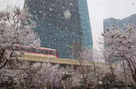 写字楼雪景5.png